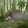 CampRufus