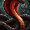 SalimHook9