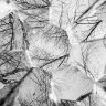 shedwire8