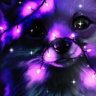 jono_cab8