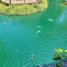 Pond_Ian4