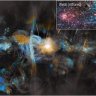 nerys501