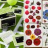 aldenbox8