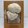 KeirLens5