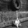 corkwasher