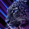 tokenmoth7