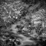 flashbulb6