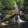 Pico11