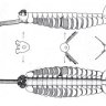 TackleJen4