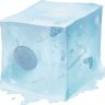 finchbox