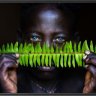 fern_bench4