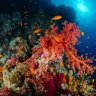 kelpdesk73