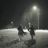 nicofern4