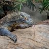 GitaTape