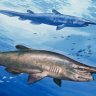 Noel-Rig9