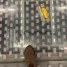 DaleSocket