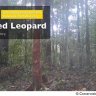 loopyhan