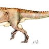 CianFolio