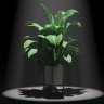 tinyweb8