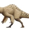 LinaQuirk38