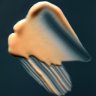 LeniCast8
