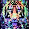 amosbyte8