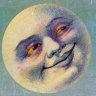 syednoisy