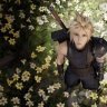 nightbloom