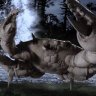 lenswash19