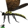 TessaClamp