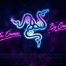 gullyrun8