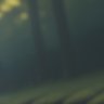 DellaFocus