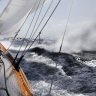 blogmoss48