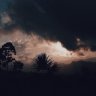 DenaFilm2
