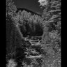 mopedshed6