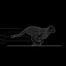 DarioSump5