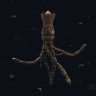 lensloop8