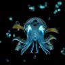 RafiTripod