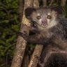 baychalk