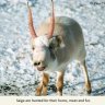 shift_end4