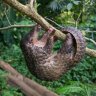 snailcap3