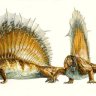 MartaLever