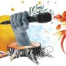 ZaneTripod