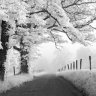 rundleby