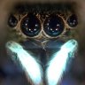 microscope6