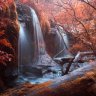 MaeveTilt