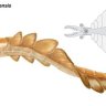 axlewhisp2