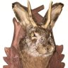 JunoBench7