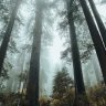 webcrumb8
