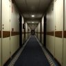 leafpan4